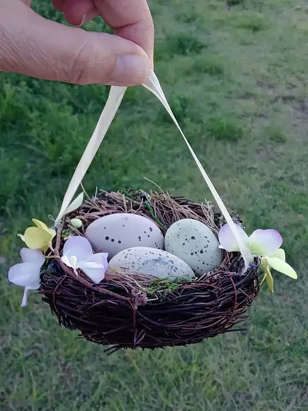 Nido Con 3 Huevos De Pascua