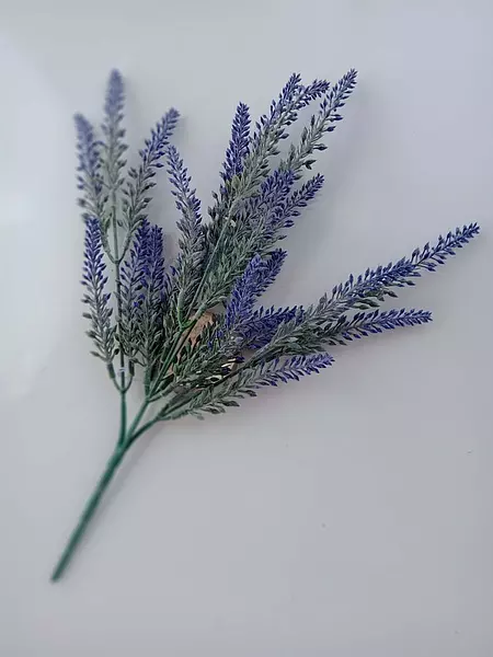 Manojo De Flores De Lavanda