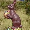 Conejo Con Apariencia De Chocolate