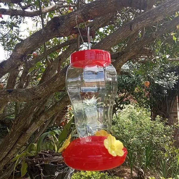 Bebedero Para Colibríes. Compra Uno Y Se Le Envian Dos