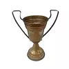 Trofeo De Forma De Copa