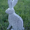 Conejo Pascua