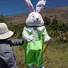 Conejo De Pascua Grande