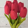 Paquete X 7 Flores De Tulipán
