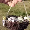 Nido Con 3 Huevos De Pascua